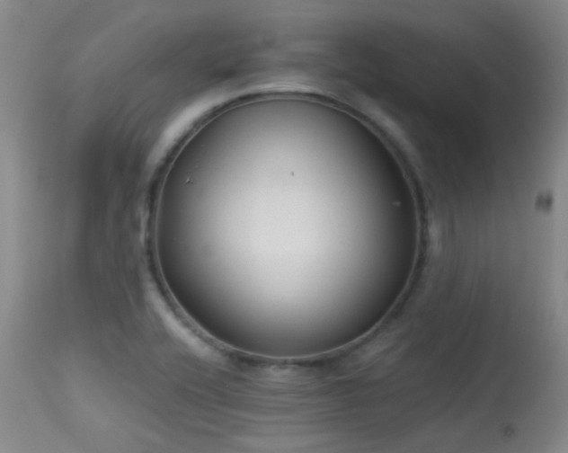 X0000113611416200909251131