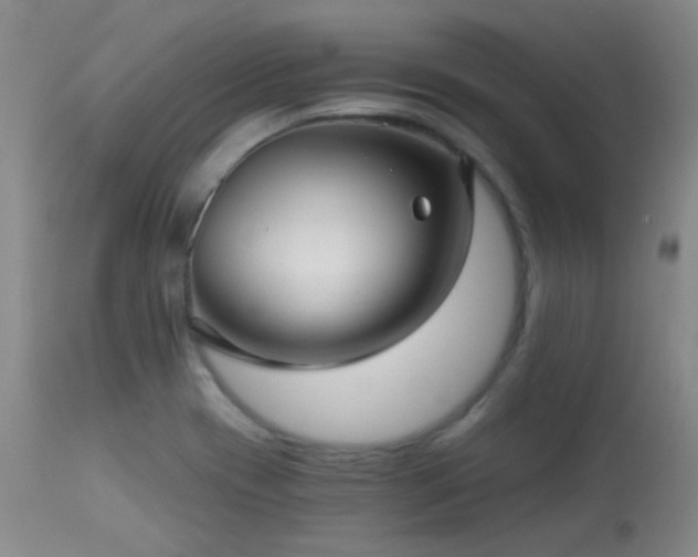 X0000113611417200909251131