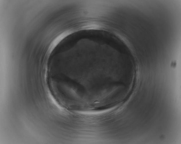 X0000113611418200909251131