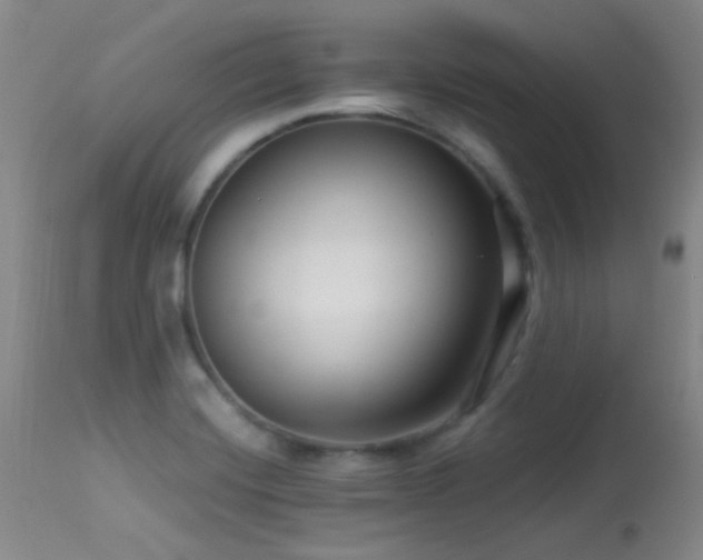 X0000113611420200909251131