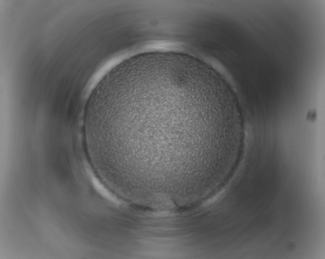 X0000113611421200909251131