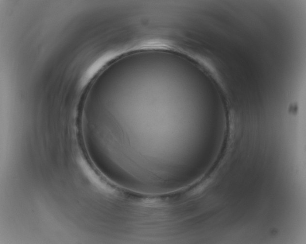 X0000113611422200909251131