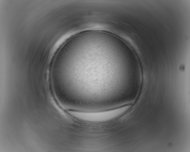 X0000113611424200909251131