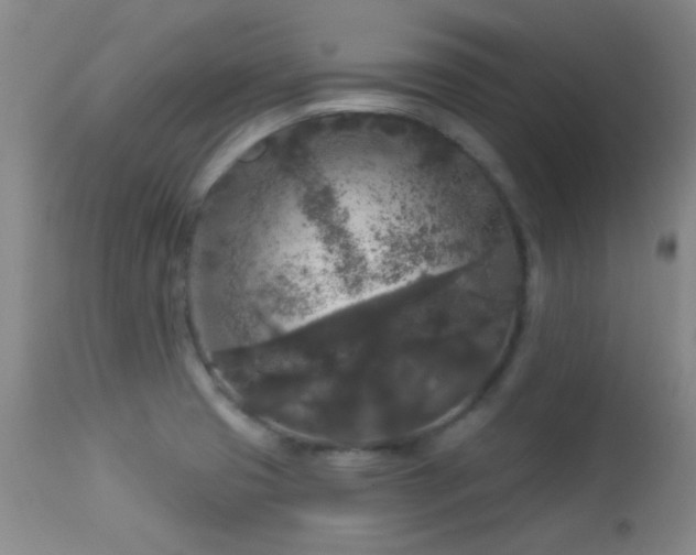 X0000113611425200909251131