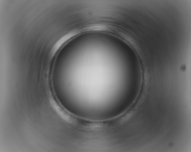 X0000113611426200909251131