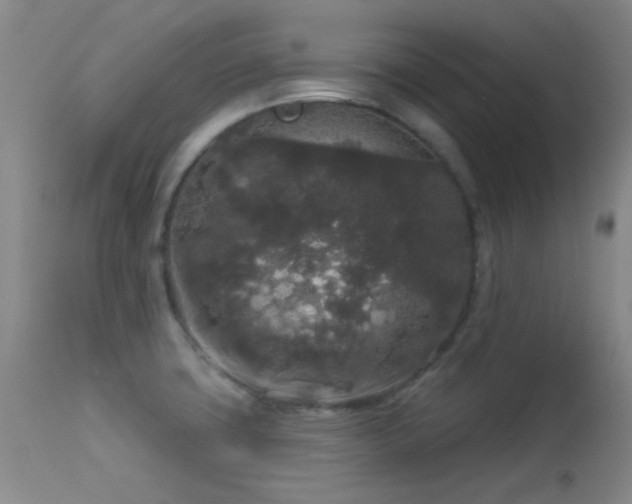 X0000113611427200909251131