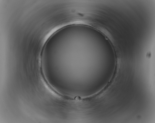 X0000113611428200909251131