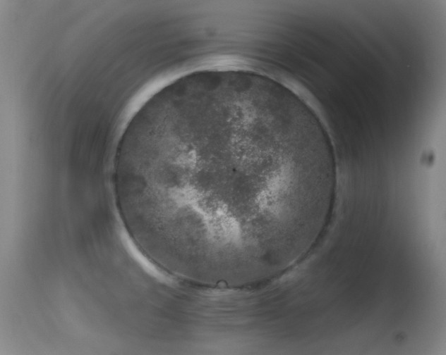 X0000113611429200909251131