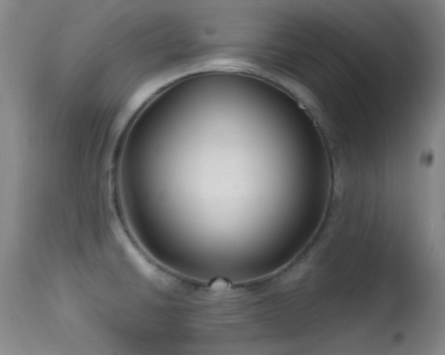 X0000113611430200909251131