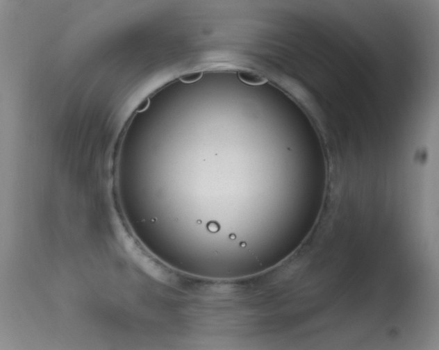 X0000113611431200909251131