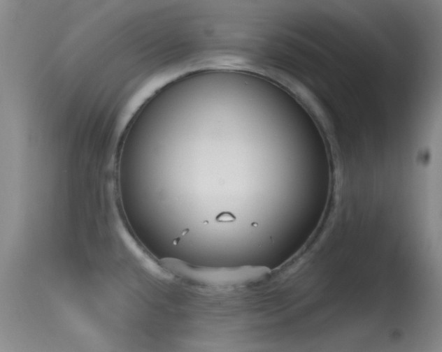 X0000113611432200909251131