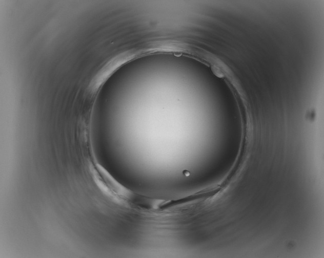 X0000113611433200909251131