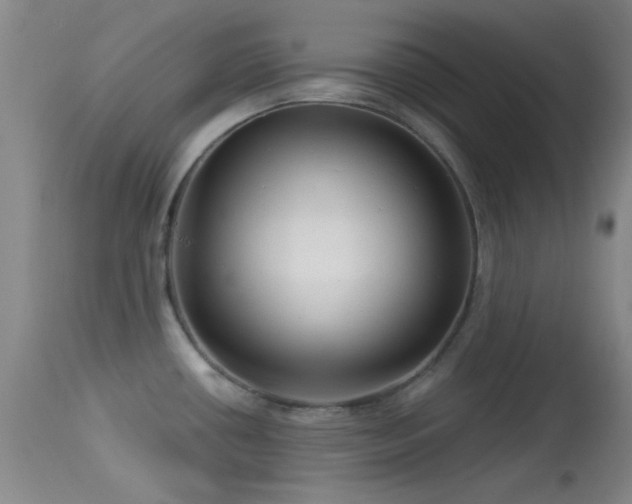 X0000113611434200909251131