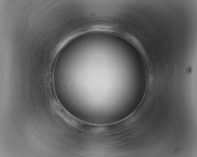 X0000113611435200909251131