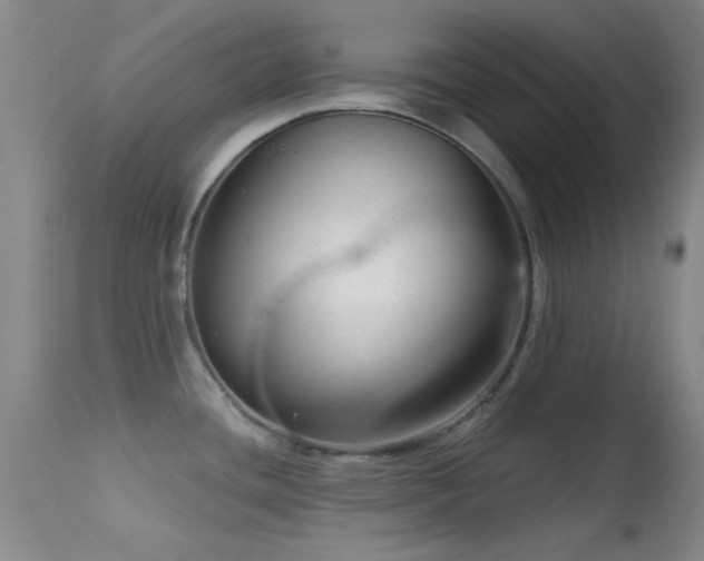 X0000113611436200909251132