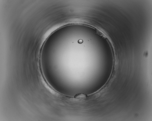 X0000113611437200909251132