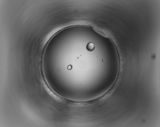 X0000113611438200909251132