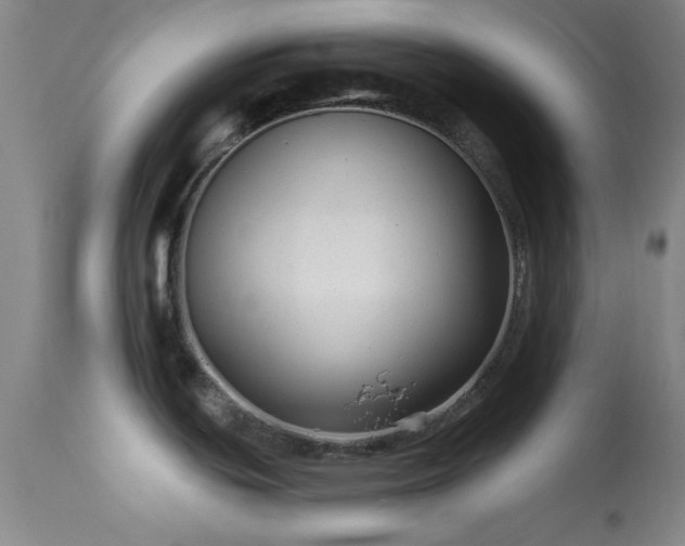 X0000113611439200909251132