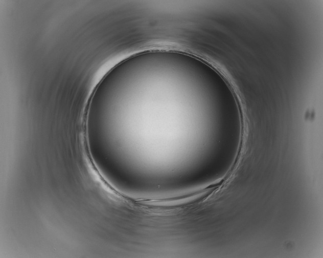 X0000113611440200909251132