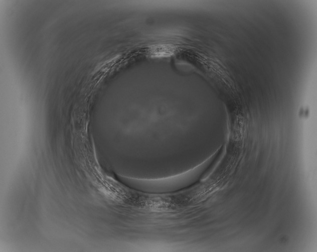 X0000113611441200909251131