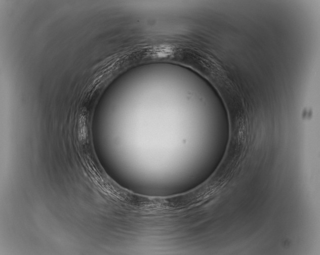 X0000113611442200909251131