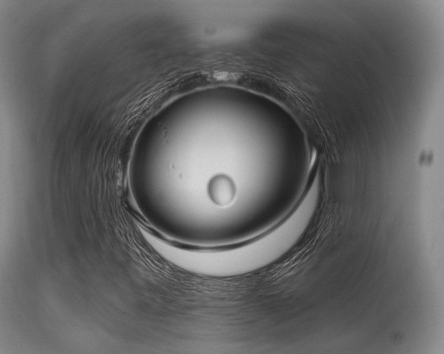 X0000113611443200909251131