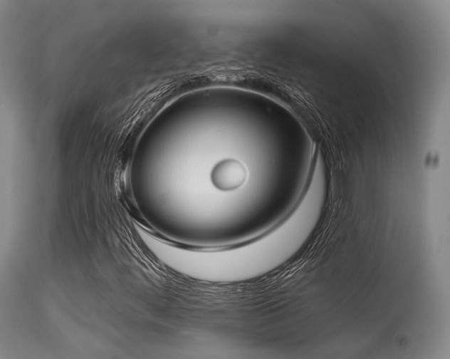 X0000113611444200909251131