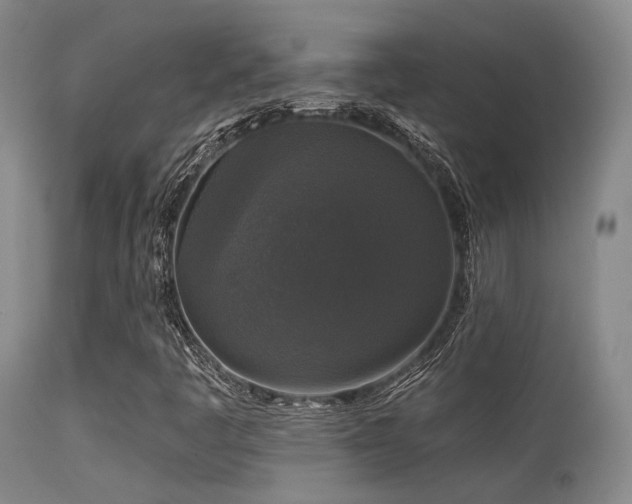 X0000113611445200909251131