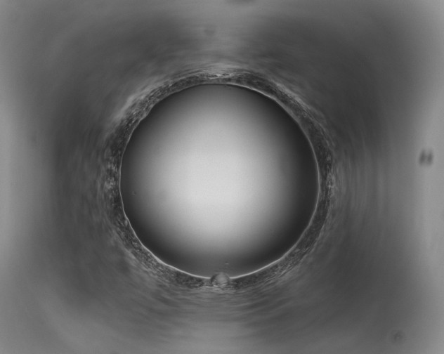 X0000113611447200909251131