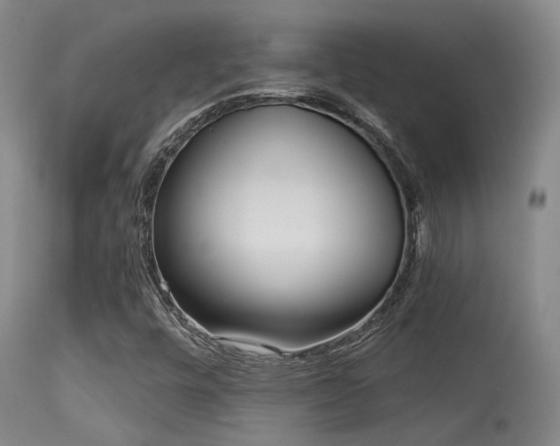 X0000113611448200909251131