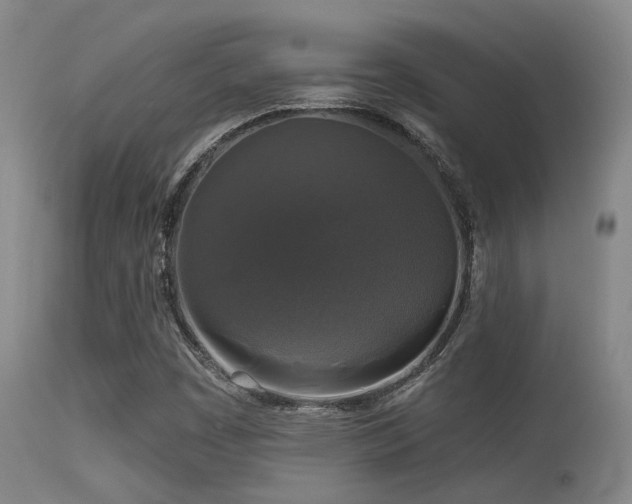 X0000113611449200909251131