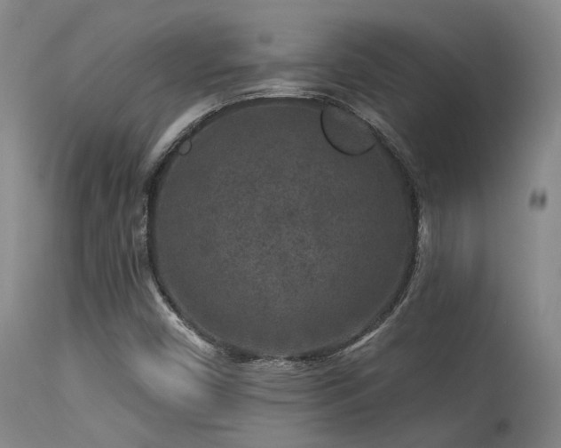 X0000113611450200909251131