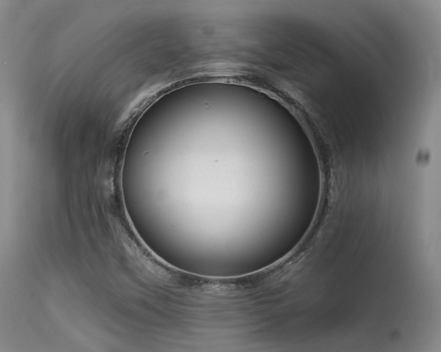 X0000113611451200909251131