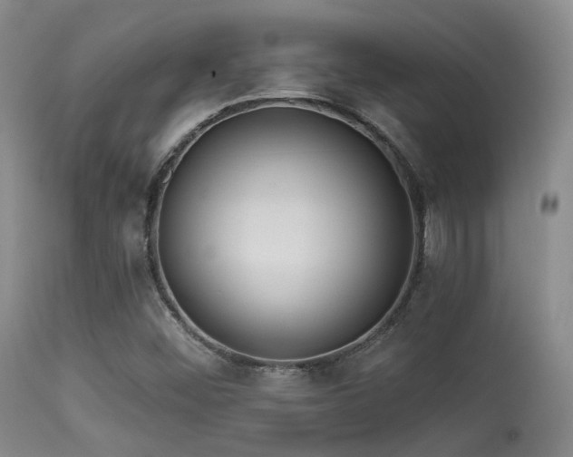 X0000113611452200909251131