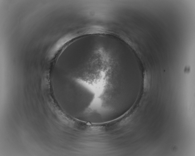 X0000113611453200909251131