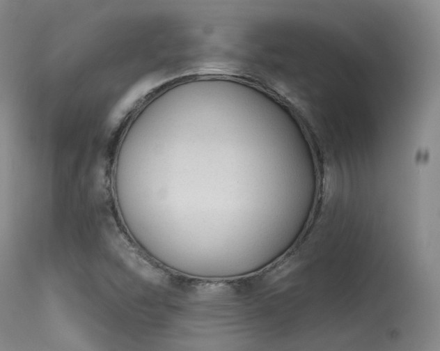 X0000113611454200909251131