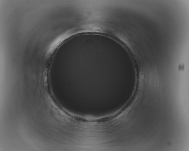 X0000113611455200909251131