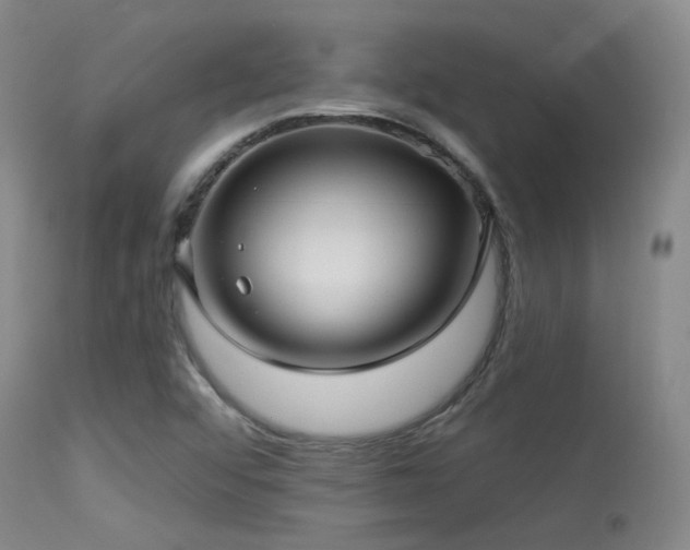 X0000113611456200909251131