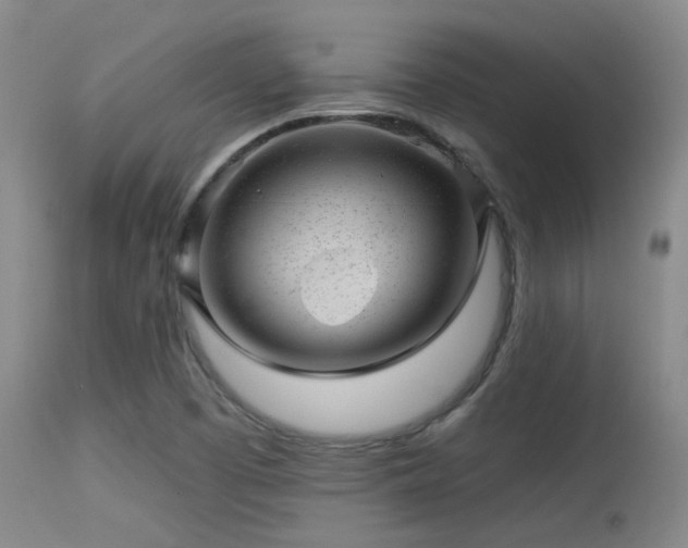 X0000113611457200909251131