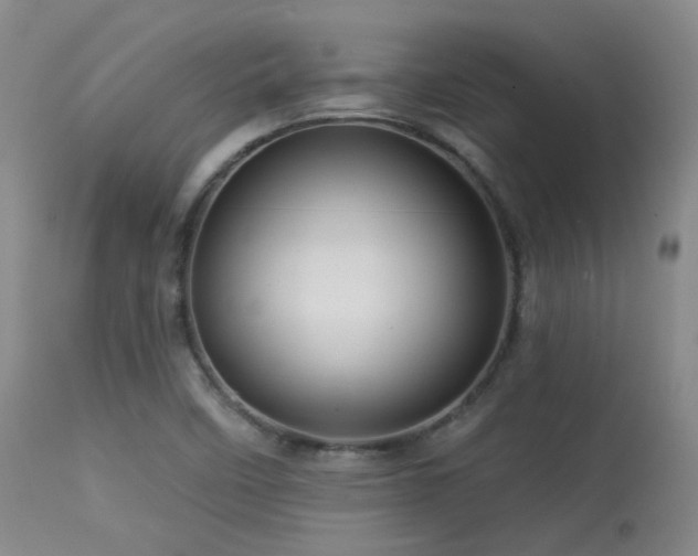 X0000113611458200909251131