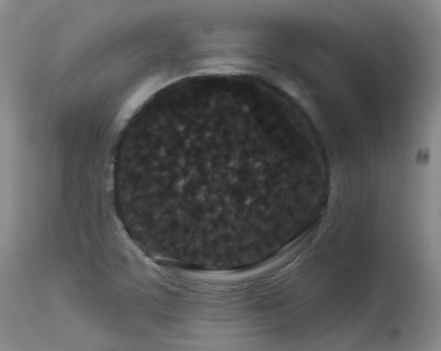 X0000113611459200909251131