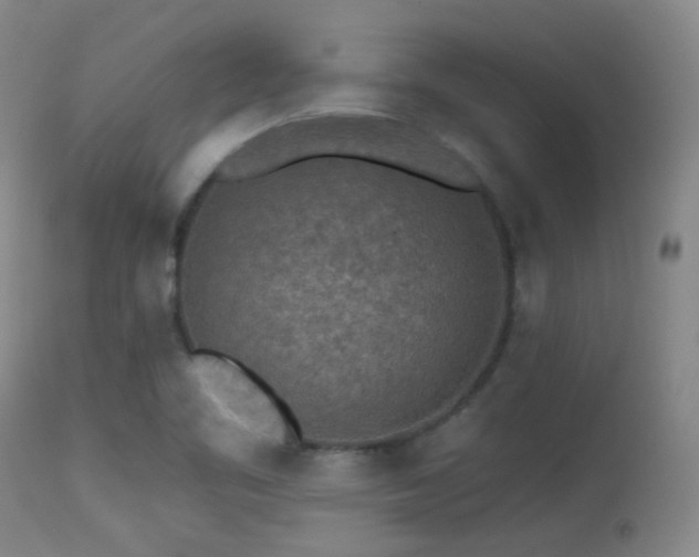 X0000113611461200909251131