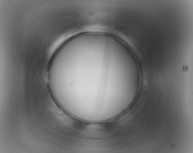 X0000113611462200909251131