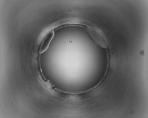 X0000113611464200909251131