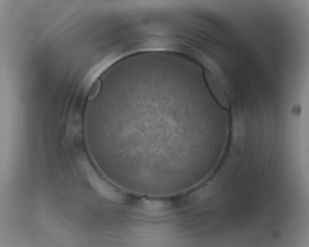 X0000113611465200909251131