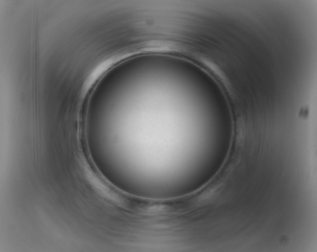 X0000113611467200909251131