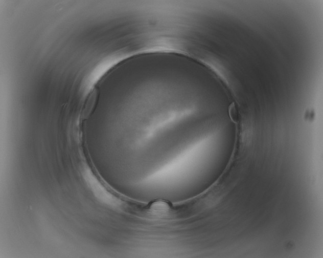 X0000113611468200909251131