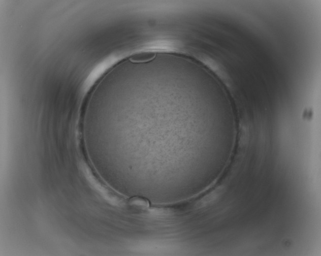 X0000113611469200909251131