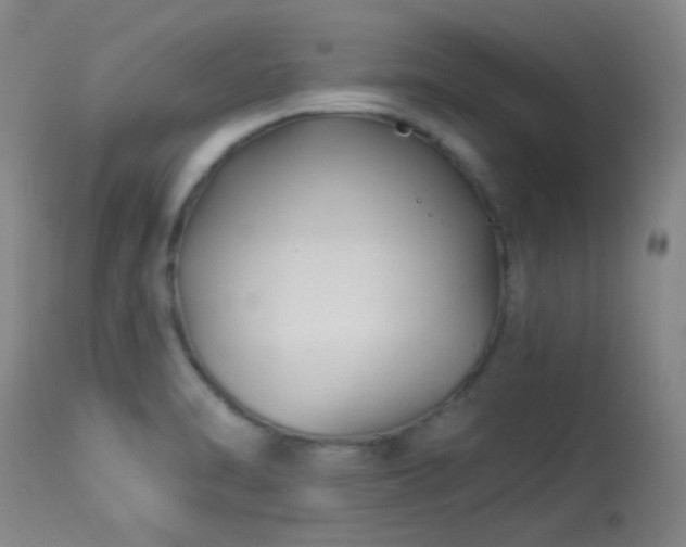 X0000113611470200909251131