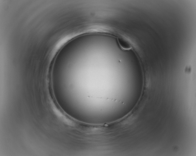 X0000113611471200909251130